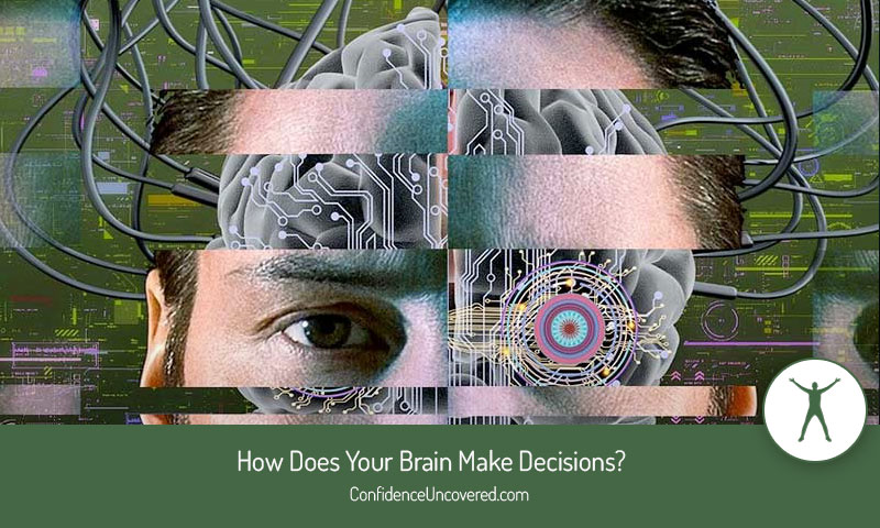 How Does Your Brain Make Decisions?